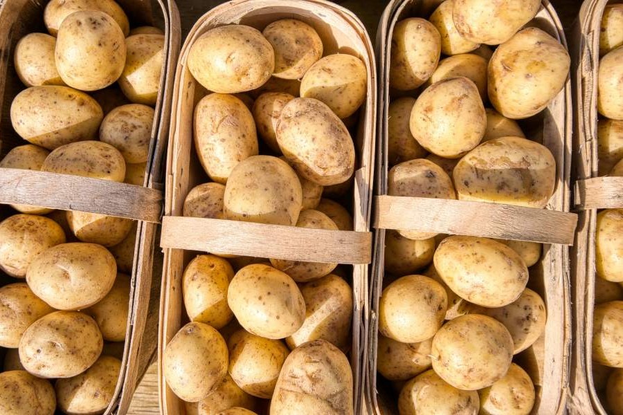 Baskets of Potatoes