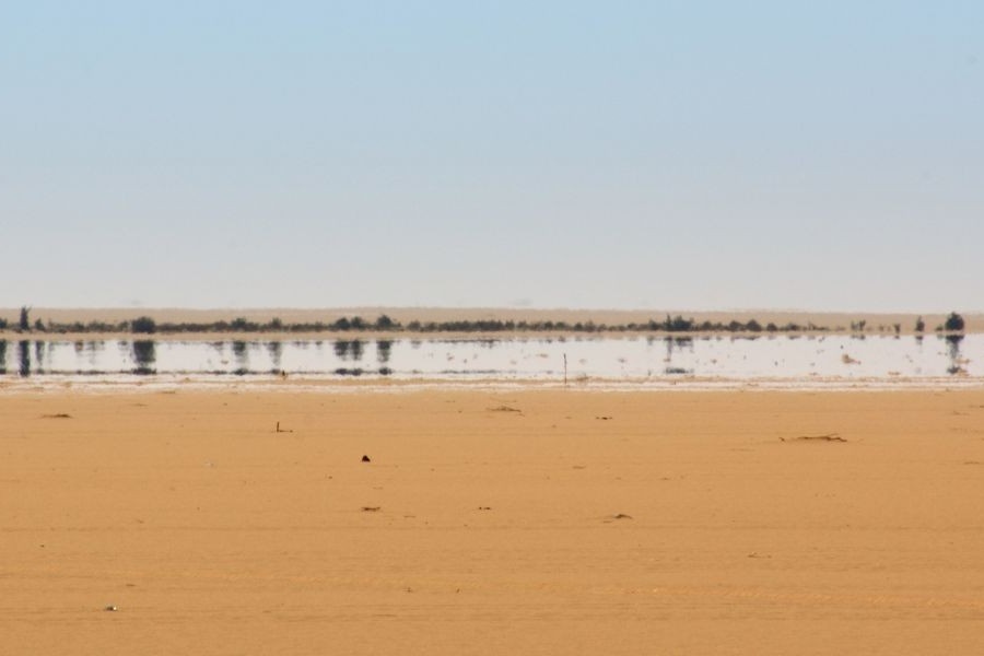 Desert Mirage